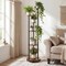 RGB Lighted Plant Stand 6-Tier Vertical Shelf with APP Remote Control